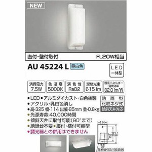 コイズミ LED防雨ブラケット AU45224L 【設置工事不可】【送料無料】