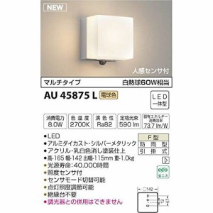 コイズミ LED防雨ブラケット AU45875L 【設置工事不可】【送料無料】