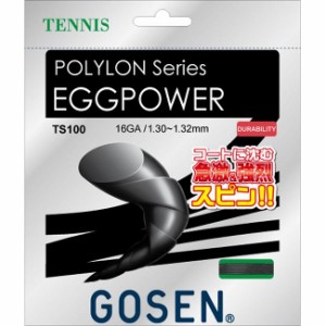 GOSEN(ゴーセン) エッグパワー16 ブラック TS100BK