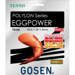 GOSEN(ゴーセン) エッグパワー16 オレンジ TS100OR