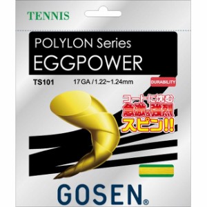 GOSEN(ゴーセン) エッグパワー17 イエロー TS101Y