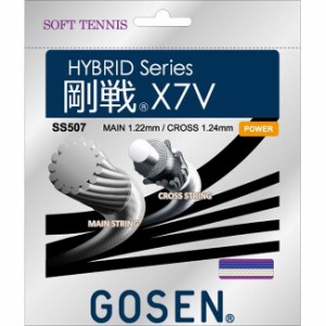 GOSEN(ゴーセン) SS507 ゴーセンX7V ロイヤルブルー SS507RB【送料無料】