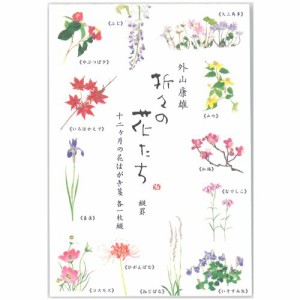 表現社 はがき箋 縦書き 12柄 12枚 美濃和紙 折々の花 十二ヶ月の花 24ー221