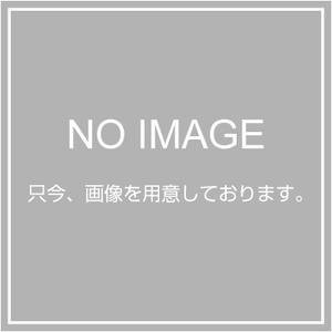 キジマ (kijima) バイク バイクパーツ アイドルアジャストスクリューキット ケイヒンバタフライキャブ用 HD-04469
