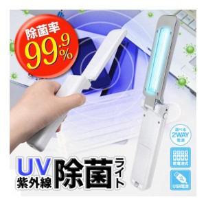UV除菌ライト 電池式 USB給電 紫外線除菌ライト コンパクト ハンディ除菌器 ポケットサイズ  UV除菌ランプ  ウイルス対策