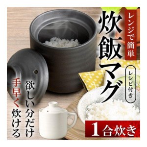 電子レンジ 対応 炊飯器 陶器製 おひつ レンジで簡単 ふっくらごはん 炊飯マグ 1.0合 レシピ付 一人暮らし