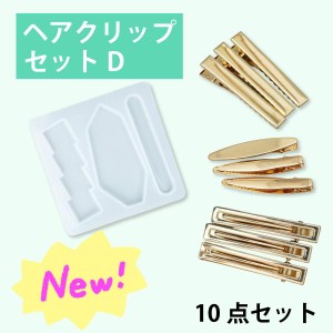 レジンクラフト用 セットD ヘアクリップ  シリコンモールドとクリップ3種の10点セット 土台 金具 アクセサリー セット  ヘアピン ヘアア