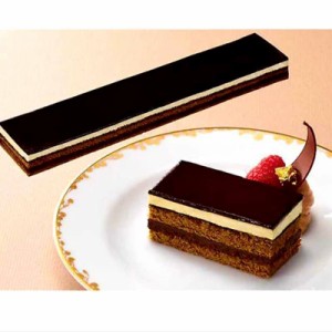 味の素冷凍食品 フリーカットケーキ オペラ（ベルギー産チョコレート使用） ４６０ｇ【プロ】