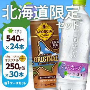 【北海道限定セット】い・ろ・は・す ハスカップ 540mlPET 24本 ＋ ジョージア オリジナル 250g缶(北海道限定デザイン) 30本 合計 54本セ