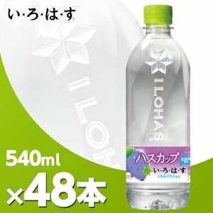 い・ろ・は・す ハスカップ 540mlPET 2ケース 48本 北海道内送料無料・メーカー直送・代引不可/いろはす　ミネラルウォーター　コカ・コ