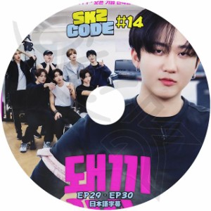 K-POP DVD STRAY KIDS SKZ CODE #14 EP29-EP30 日本語字幕あり Stray Kids ストレイキッズ 韓国番組収録 STRAY KIDS KPOP DVD