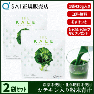 青汁 16％割引 キューサイ ザ・ケール＋カテキン 420g 2袋まとめ買い ＋おまけ付 健康飲料 国産 緑茶配合 農薬不使用 専用スプーン＆シェ