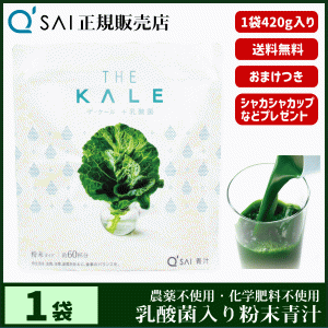 青汁 14％割引 キューサイ ザ・ケール＋乳酸菌 420g ＋おまけ付 健康飲料 国産 善玉菌配合 農薬不使用 専用スプーン＆シェイカー付