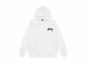 Stussyステューシーのプチベース○フード付きパーカーです