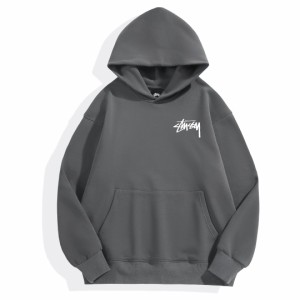    Stussy ビッグレーベル スプリング フーデッド スウェットシャツ