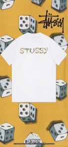 STUSSY  ステューシー  Floral Chip Tシャツ 半袖 ホワイト  並行輸入品