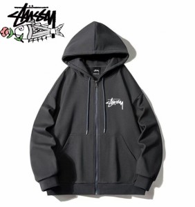 Stussy LOOG フーデッド スウェットシャツ