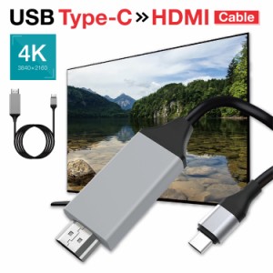 HDMI to USB Type-C 変換ケーブル 2m 4K UHD 3D 対応 USB-C USB TypeC 外部出力 TV テレビ モニター ディスプレイ プロジェクター 映像 