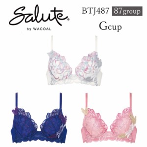 30%OFF ワコール Wacoal サルート salute 87グループ 87G VIVA LINE 3/4カップブラジャー Gカップ (下着 単品 ブラジャー レディース 女