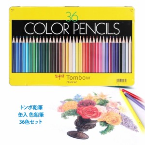 【costco コストコ】トンボ鉛筆 缶入 色鉛筆 36色セット