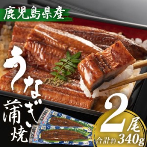 鹿児島県産 うなぎ蒲焼き 約170g×2尾 (タレ・山椒付き) 特大 国産 九州産 鹿児島産 薩摩川内うなぎ 冷凍 鹿児島 誕生日 御歳暮 お祝い 