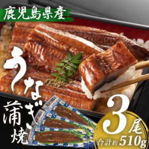 鹿児島県産 うなぎ蒲焼き 約170g×3尾 (タレ・山椒付き) 特大 国産 九州産 鹿児島産 薩摩川内うなぎ 冷凍 鹿児島 誕生日 御歳暮 お祝い 