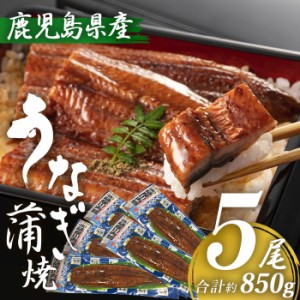 鹿児島県産 うなぎ蒲焼き 約170g×5尾 (タレ・山椒付き) 特大 国産 九州産 鹿児島産 薩摩川内うなぎ 冷凍 鹿児島 誕生日 御歳暮 お祝い 