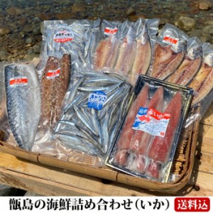 【送料無料】 ギフト 甑島の海鮮詰め合わせ（いか） 海鮮セット 干物 天日干し 塩干 塩干し イカ 鹿児島産 お刺身 キビナゴ アジ カマス