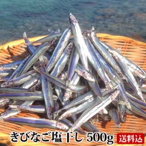 【送料無料】 ギフト 甑島のきびなご塩干し 500g 鹿児島産 国産 こしき島 こしきしま 塩干 天日干し 干物 おつまみ キビナゴ 冷凍 ギフト