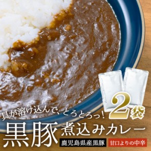 鹿児島県産 黒豚 煮込みカレー 2袋 黒豚カレー 濃厚 甘口よりの中辛 ご当地 お試し 簡単調理 常温保存 ドライカレー カレー レトルト食品