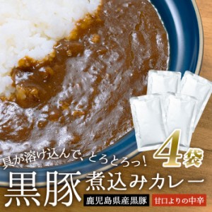 鹿児島県産 黒豚 煮込みカレー 4袋 黒豚カレー 濃厚 甘口よりの中辛 ご当地 お試し 簡単調理 常温保存 レトルトカレー レトルト食品 総菜