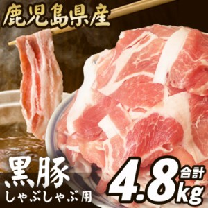 訳あり 黒豚肉 しゃぶしゃぶ用 4.8kg お買い得 豚肉 しゃぶしゃぶ 24人前 鹿児島県産 スライス こま切れ 切り落とし メガ盛り 国産