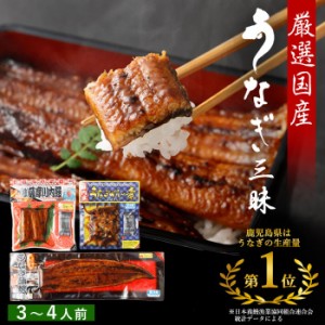 国産 うなぎ蒲焼き 3種 詰め合わせ ( 蒲焼き ハーフサイズ きざみうなぎ ) 蒲焼きセット 特大サイズ 鹿児島県産 鹿児島 鰻 うなぎ ウナギ