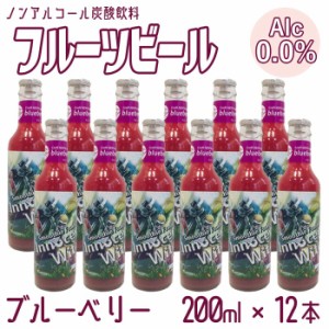 ノンアルコール フルーツビール ブルーベリー×12本 炭酸飲料 アルコールゼロ クラフトビール 果物 ノンアルビール 送料無料