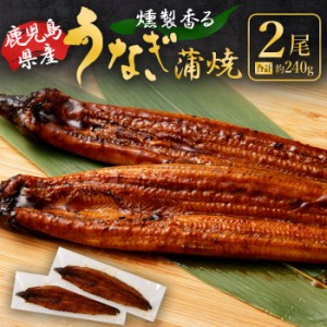 送料無料 燻製香る うなぎ蒲焼き 2尾 合計約240g(約120g×2尾) 鹿児島県産 うなぎ ウナギ 鰻 うなぎの蒲焼き 鰻蒲焼 蒲焼 蒲焼き ふっく