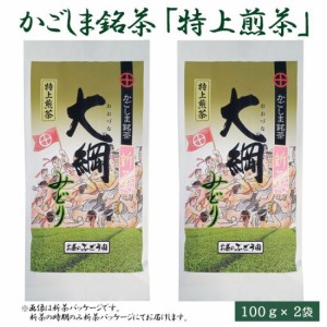 大綱みどり「特上煎茶」100g × 2袋セット 鹿児島 お土産