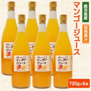 近藤さんちの 完熟マンゴージュース（果汁飲料）720g × 6本セット 鹿児島 お土産