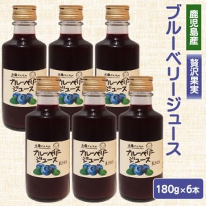 近藤さんちのブルーベリージュース（果汁飲料）180g × 6本セット 鹿児島 お土産