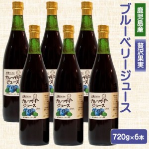 送料無料 近藤さんちのブルーベリージュース（果汁飲料）720g × 6本セット 鹿児島 お土産