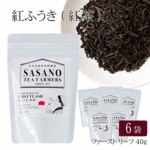 送料無料 紅ふうき 紅茶 ファースト (リーフ) 40g × 6袋セット お土産 鹿児島 リーフ