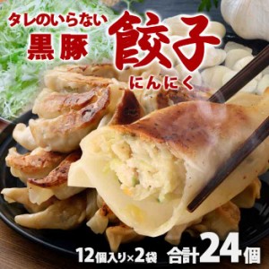 鹿児島県産黒豚使用 タレのいらない 黒豚餃子(にんにく) 計24個（12個入り×2袋）絶品 タレなし おかず お弁当 冷凍食品 ぎょうざ ギョウ