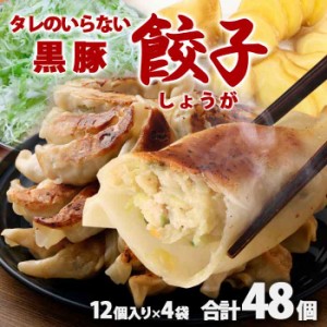 鹿児島県産黒豚使用 タレのいらない 黒豚餃子(しょうが) 計48個（12個入り×4袋）絶品 タレなし おかず お弁当 冷凍食品 ぎょうざ ギョウ