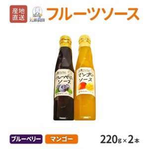 鹿児島県産 フルーツソース セット ( ブルーベリー・マンゴー ) 220g × 各1本  計 2本セット 近藤農園  濃厚 ブルーベリーソース マンゴ