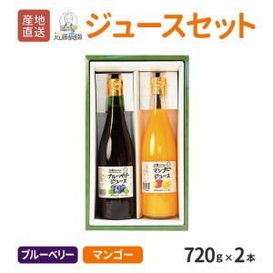 鹿児島県産 ジュースセット ( ブルーベリー・マンゴー ) 720g × 各1本  計 2本セット 近藤農園  フルーツジュース ネクター ジュース 濃