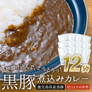 大容量 鹿児島県産 黒豚 煮込みカレー 12袋 業務用 黒豚カレー 濃厚 甘口よりの中辛 ご当地 お試し 簡単調理 常温保存 ドライカレー カレ