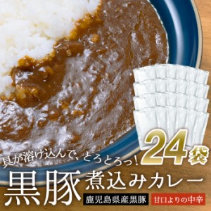 大容量 鹿児島県産 黒豚 煮込みカレー 24袋 業務用 黒豚カレー 濃厚 甘口よりの中辛 ご当地 お試し 簡単調理 常温保存 ドライカレー カレ