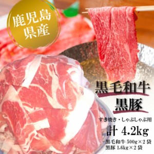 鹿児島県産 黒毛和牛＆黒豚 しゃぶしゃぶ用すき焼き用 セット 合計約4.2kg 国産 牛肉 豚肉 すきやき 肉 ギフト お取り寄せグルメ お歳暮 