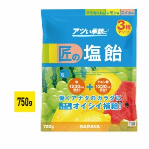 熱中症対策 水分補給 暑さ対策 塩分補給 匠の塩飴 MLSアソート マスカット レモン スイカ