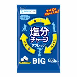 熱中症対策 塩分チャージタブレッツBIG スポーツドリンク味 大容量 クエン酸 カリウム 塩分補給