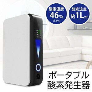 送料無料 ! 酸素発生器 家庭用 ポータブル コンパクトサイズ 酸素の吸入 VPSA方式 AC電源／シガー電源 2WAY【 高純度 ミスト吸入 車載 シ